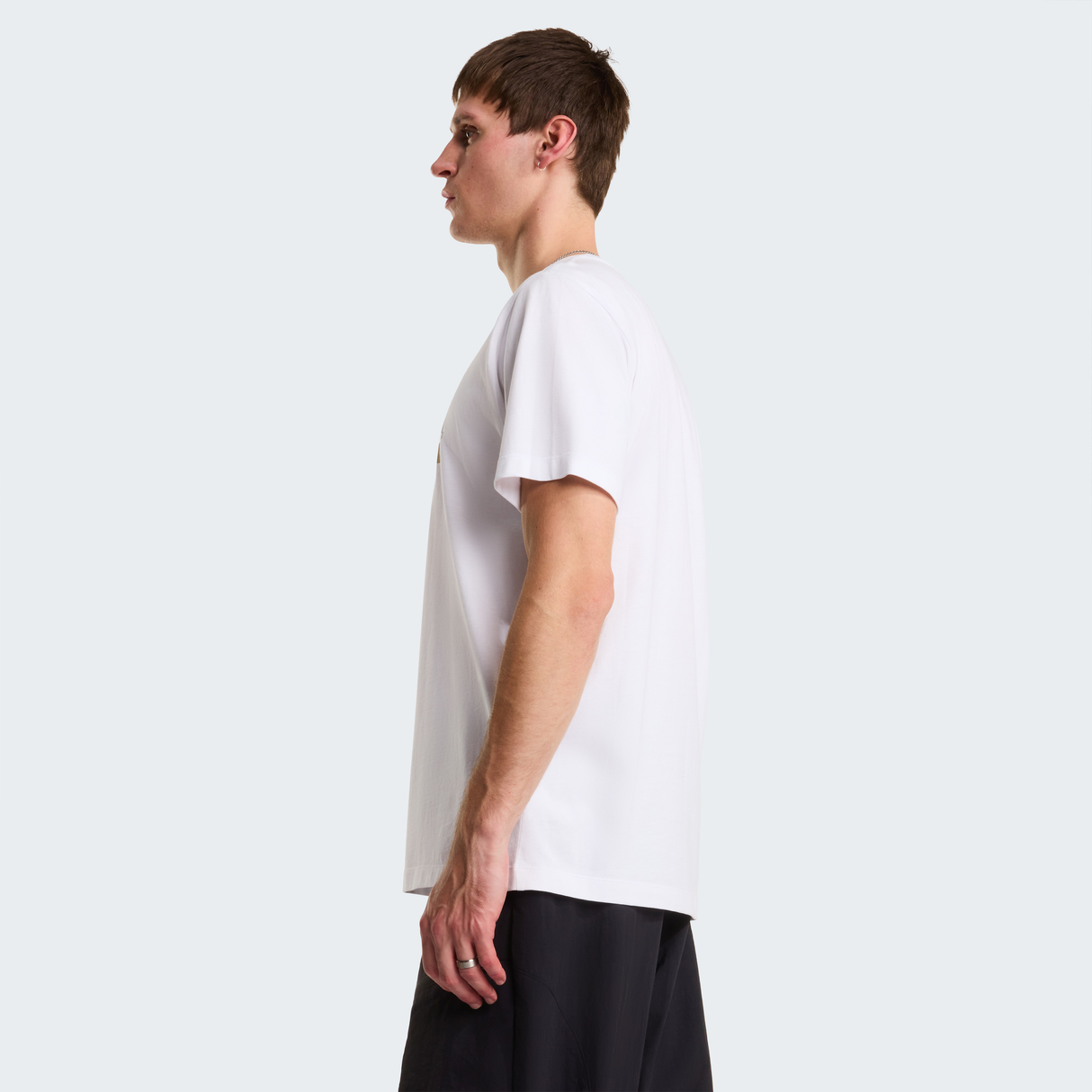 tnf_asset:NF0A8GUXFN4-ALT2