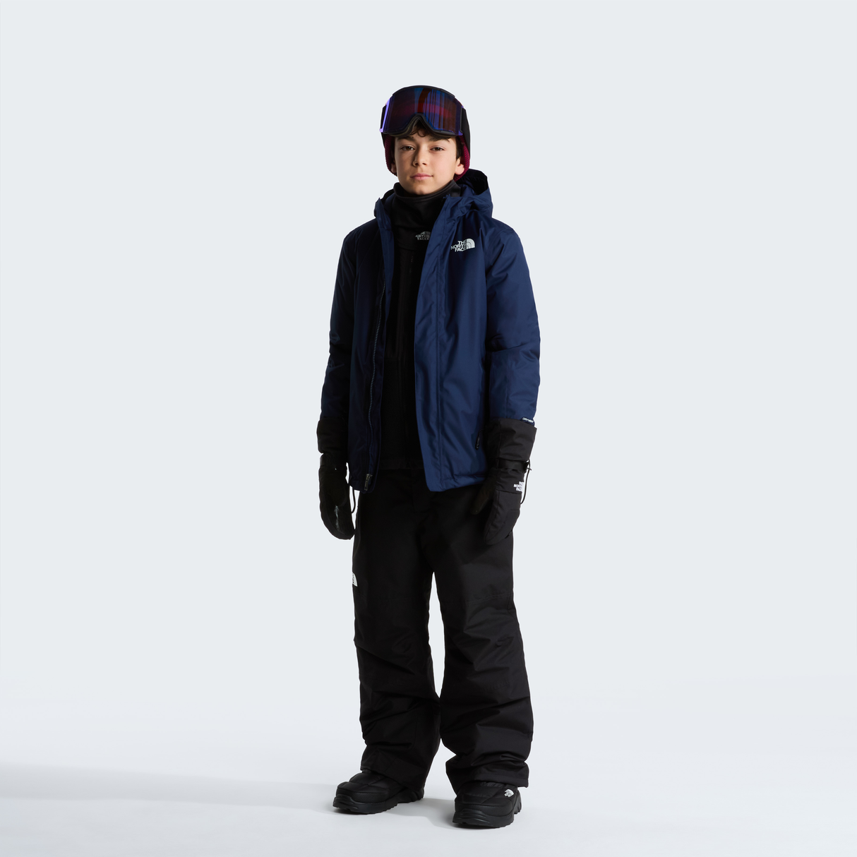tnf_asset:NF0A8EJQ8K2-ALT1