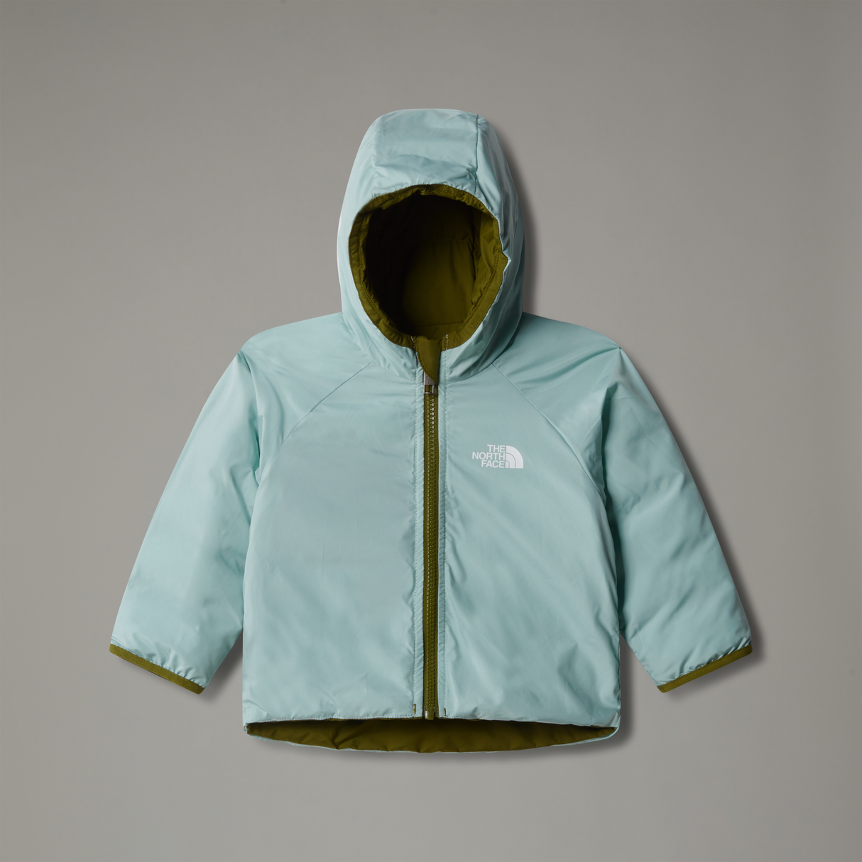 tnf_asset:NF0A88W3PIB-ALT2