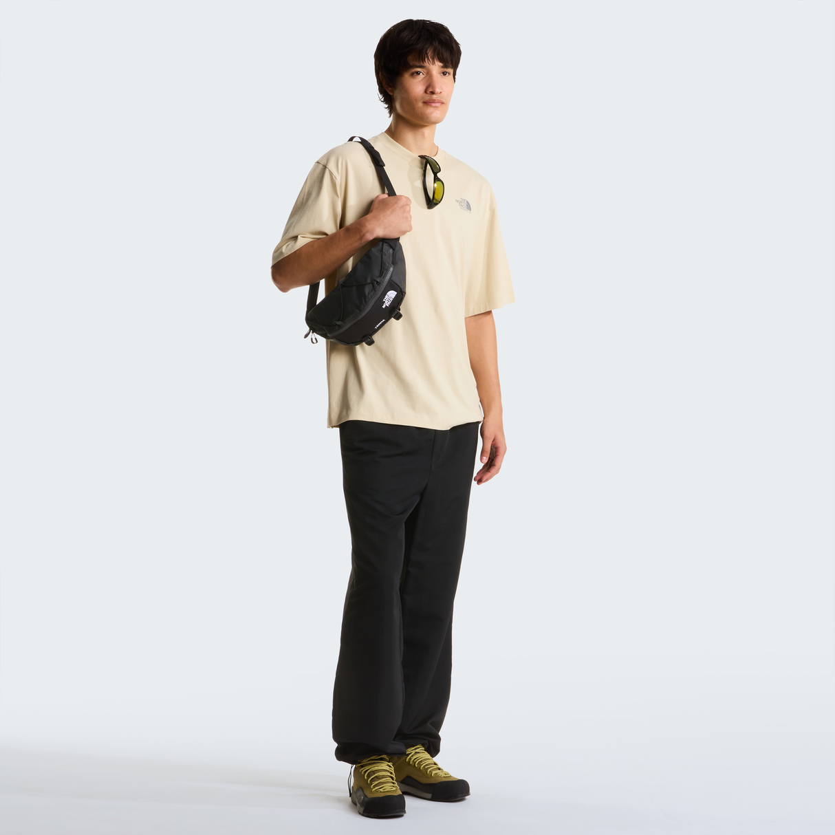 tnf_asset:NF0A8GB3DOM-ALT2