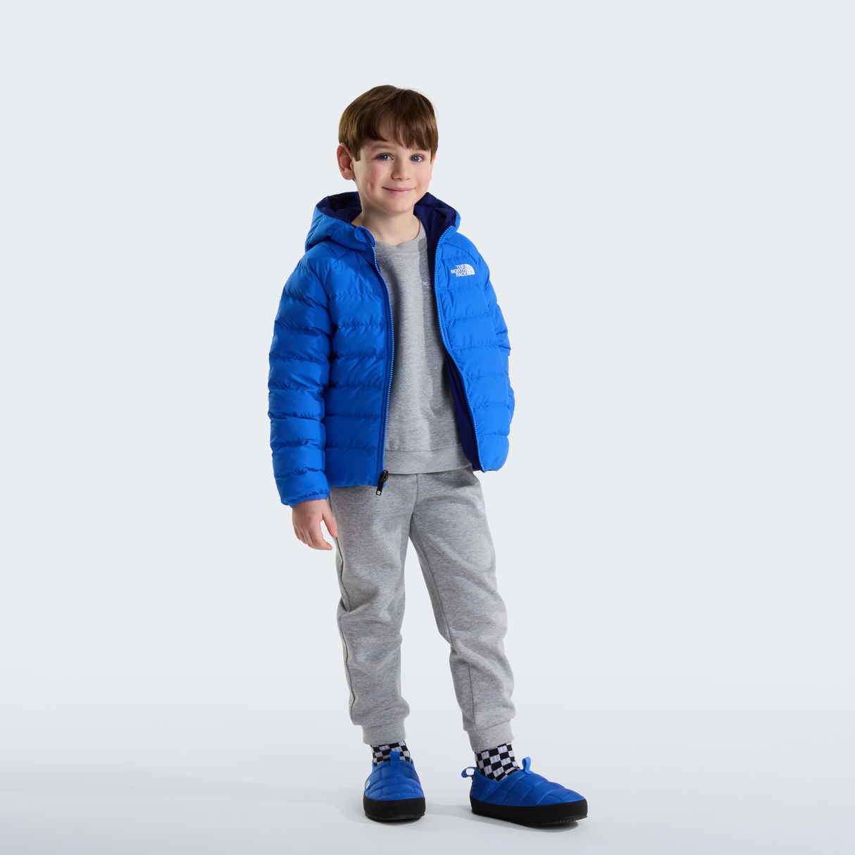 tnf_asset:NF0A88VJNLQ-ALT2