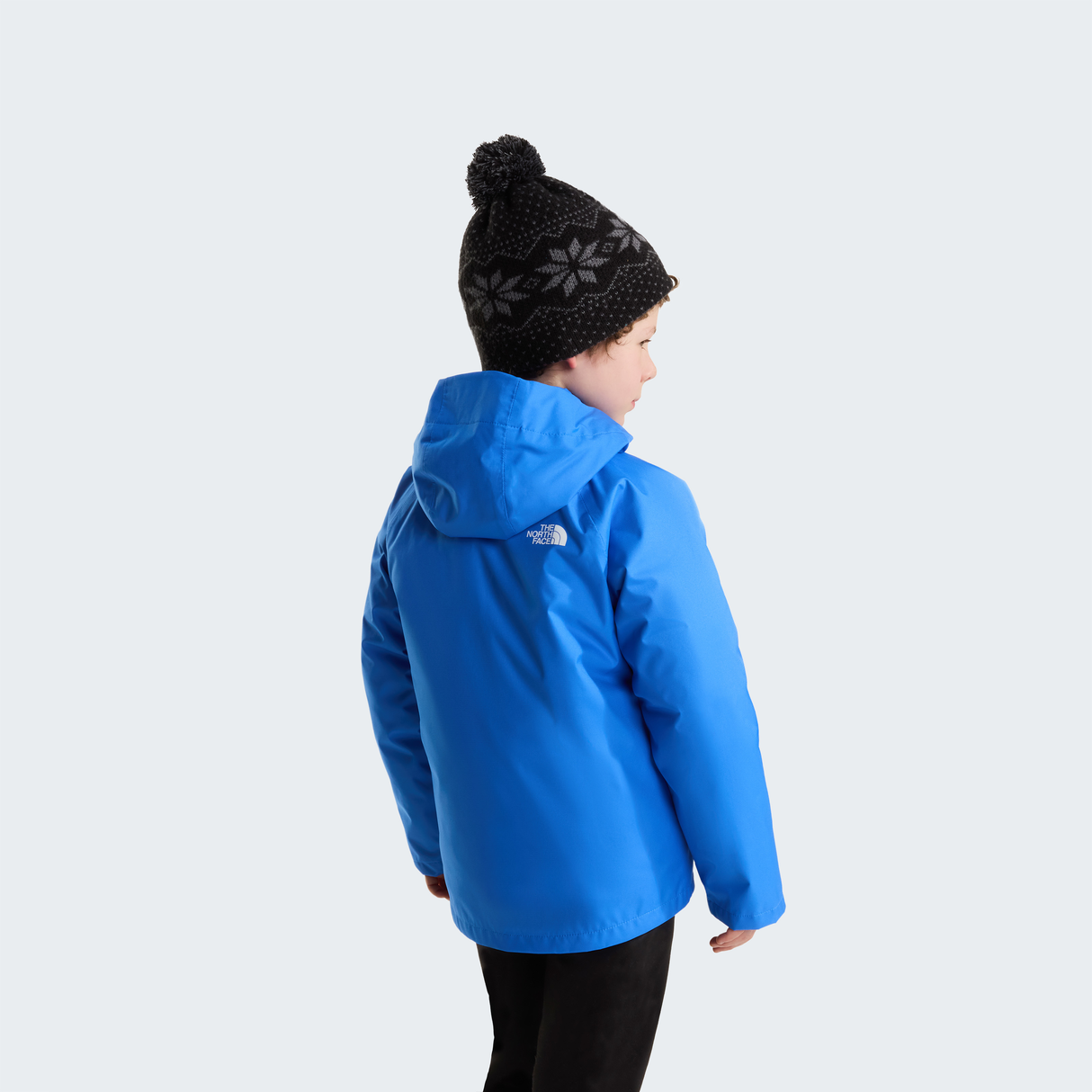 tnf_asset:NF0A8H5ANLQ-ALT3