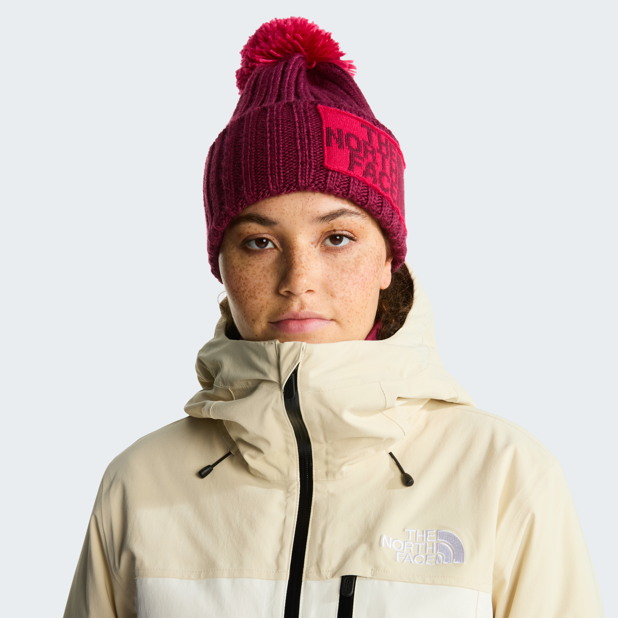 tnf_asset:NF0A7WJORGW-ALT1