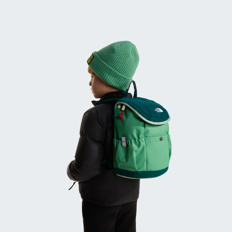 tnf_asset:NF0A52VWZT0-ALT2