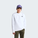 tnf_asset:NF0A8F9WFN4-ALT1