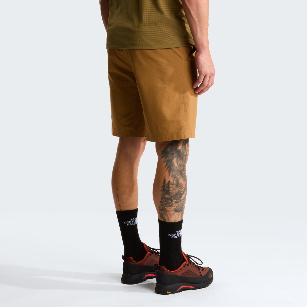 tnf_asset:NF0A8BTC173-ALT3