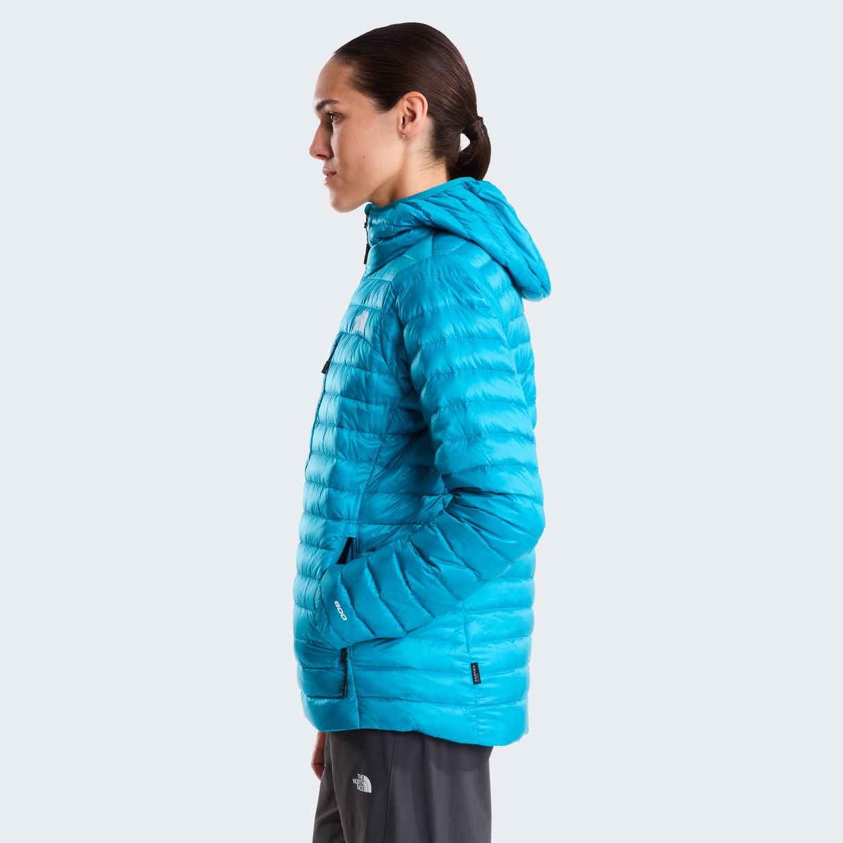 tnf_asset:NF0A8G7V6GO-ALT2