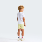 tnf_asset:NF0A8G1KN8B-ALT1