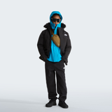 tnf_asset:NF0A8A2ZJK3-ALT1