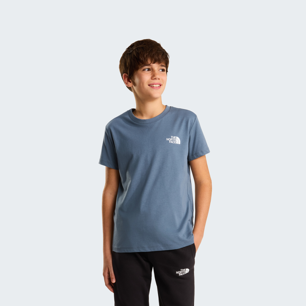 tnf_asset:NF0A8EFN0U3-ALT1