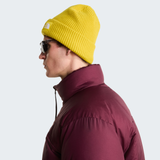 tnf_asset:NF0A8CGZNO7-ALT3