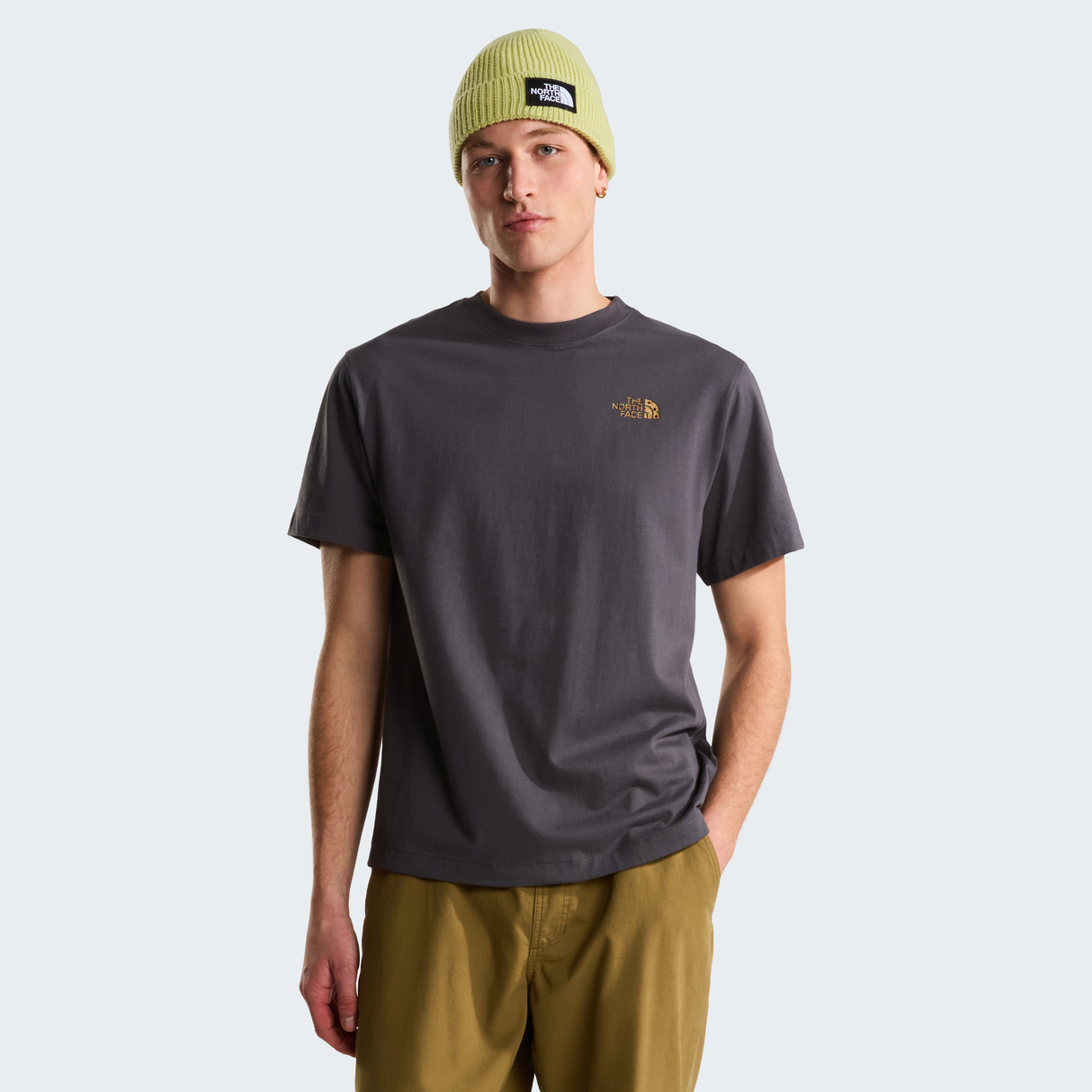 tnf_asset:NF0A8GB4RHI-ALT3