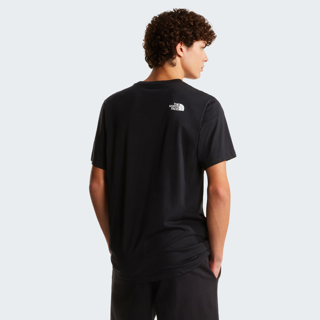 tnf_asset:NF0A8G9CJK3-ALT3