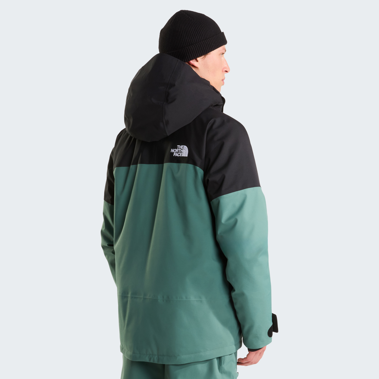 tnf_asset:NF0A8H24KIB-ALT3