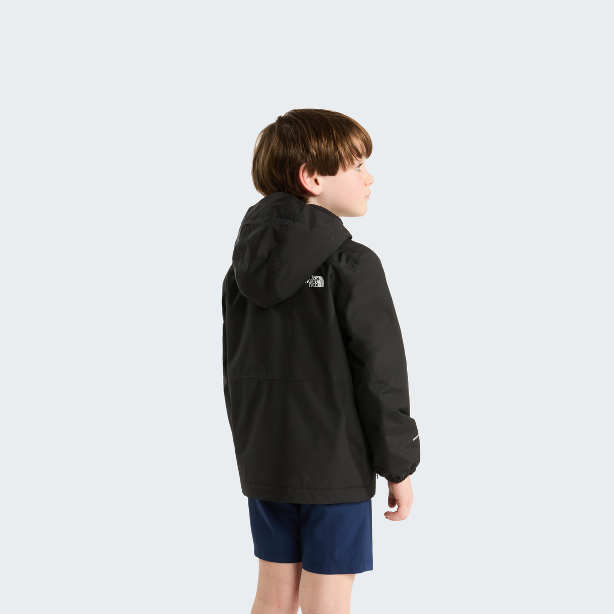 tnf_asset:NF0A873TKX7-ALT3