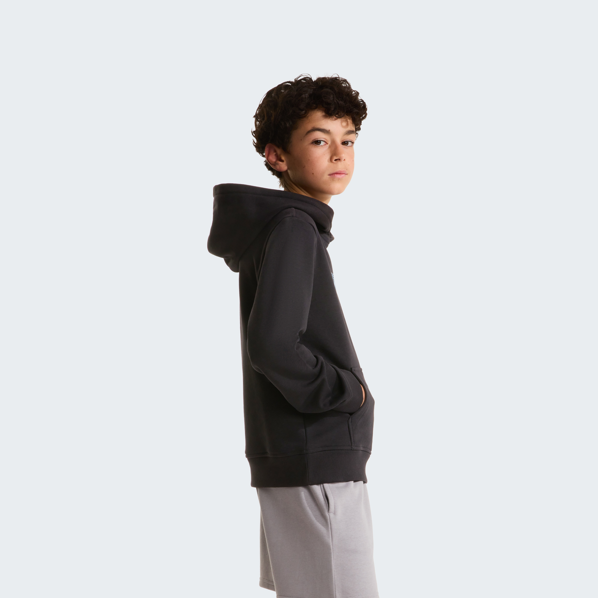 tnf_asset:NF0A8G1YJK3-ALT2