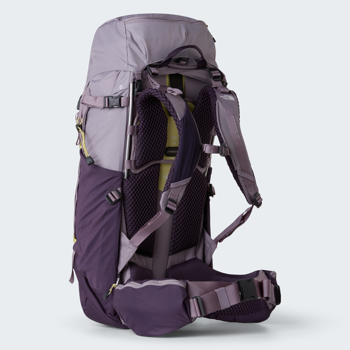 tnf_asset:NF0A81CHNRC-ALT2