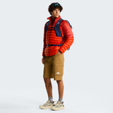 tnf_asset:NF0A8EC7173-ALT1