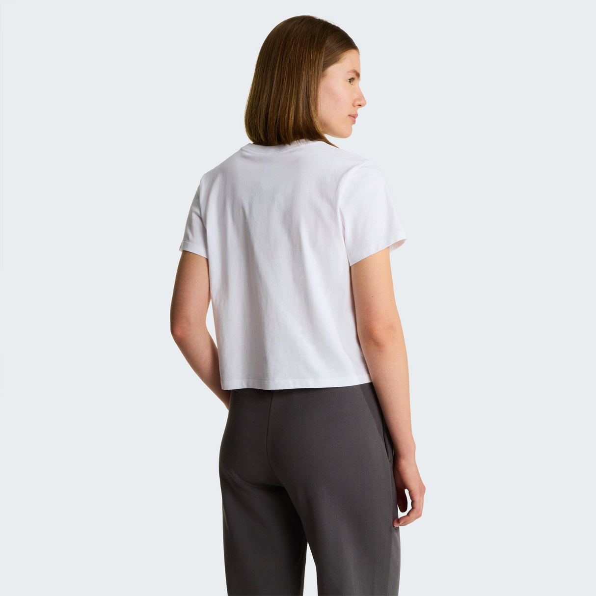 tnf_asset:NF0A8GR1FN4-ALT3