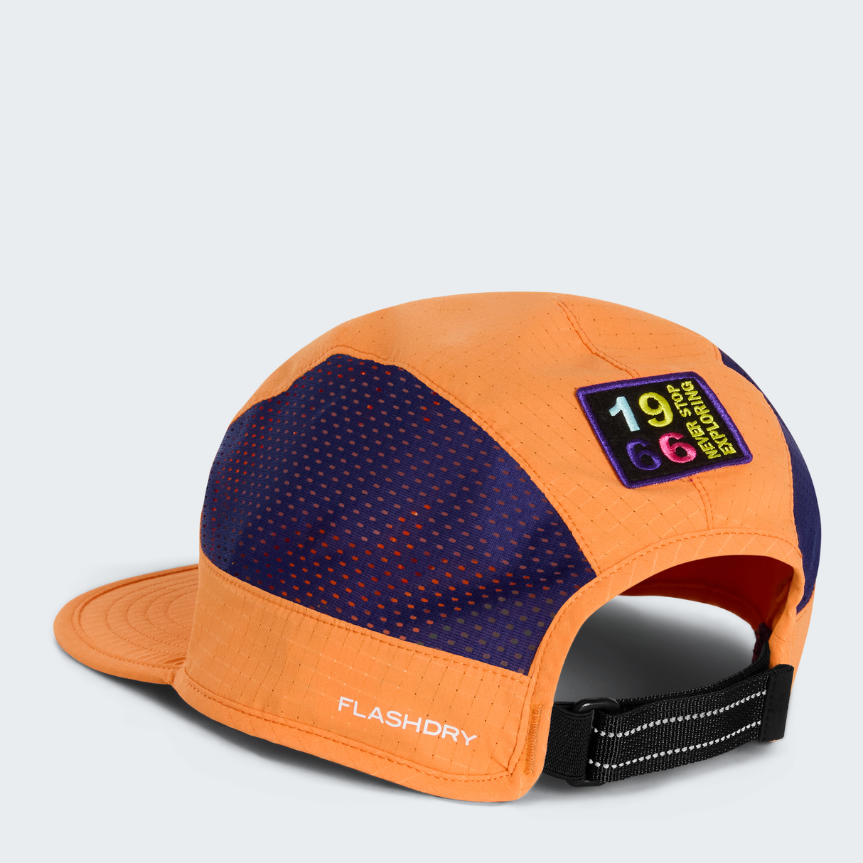 tnf_asset:NF0A876J0TO-ALT2