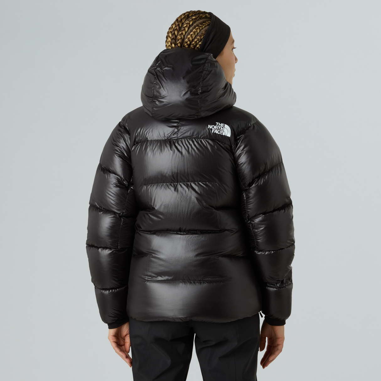 tnf_asset:NF0A8C9KJK3-ALT2