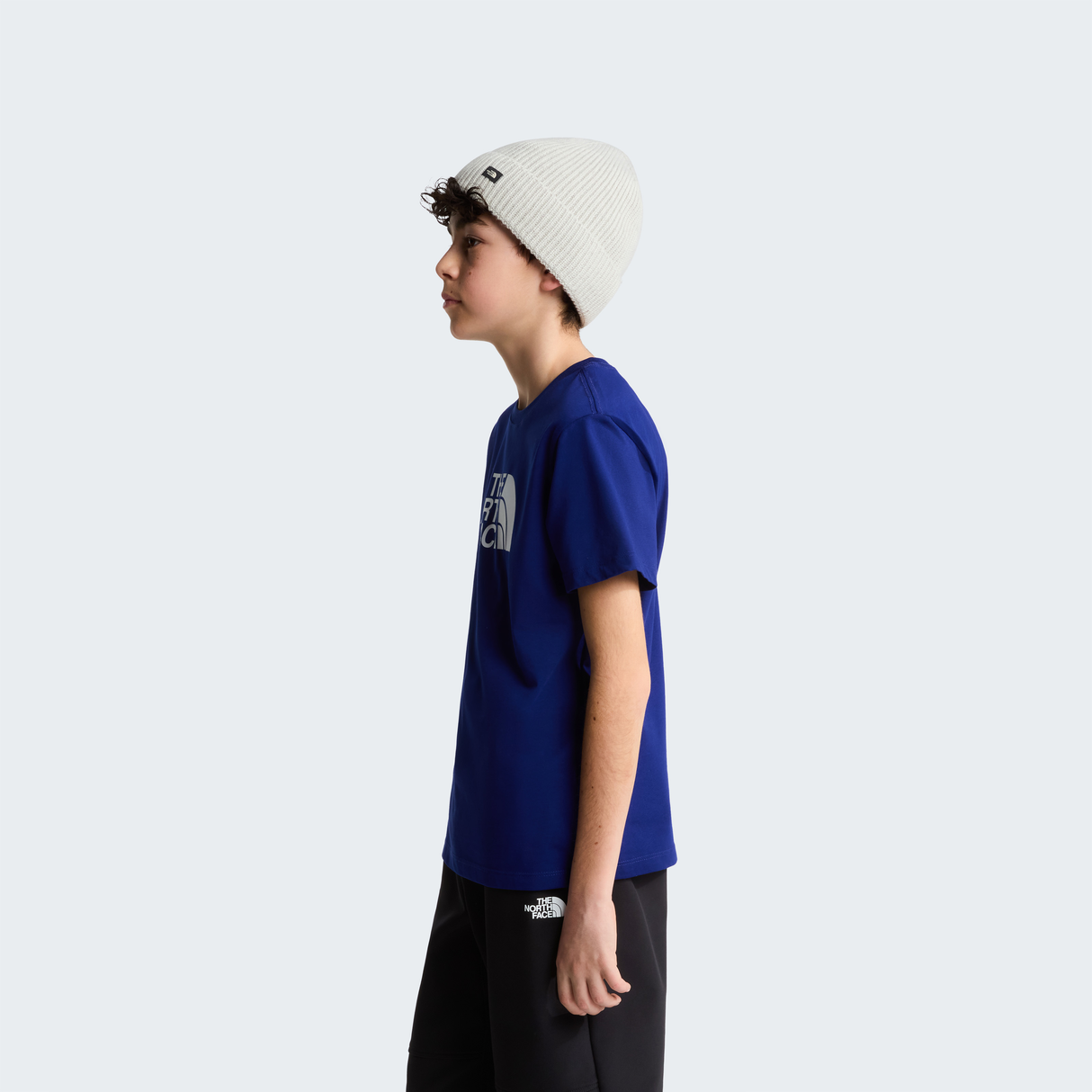 tnf_asset:NF0A8CZ8NLV-ALT2