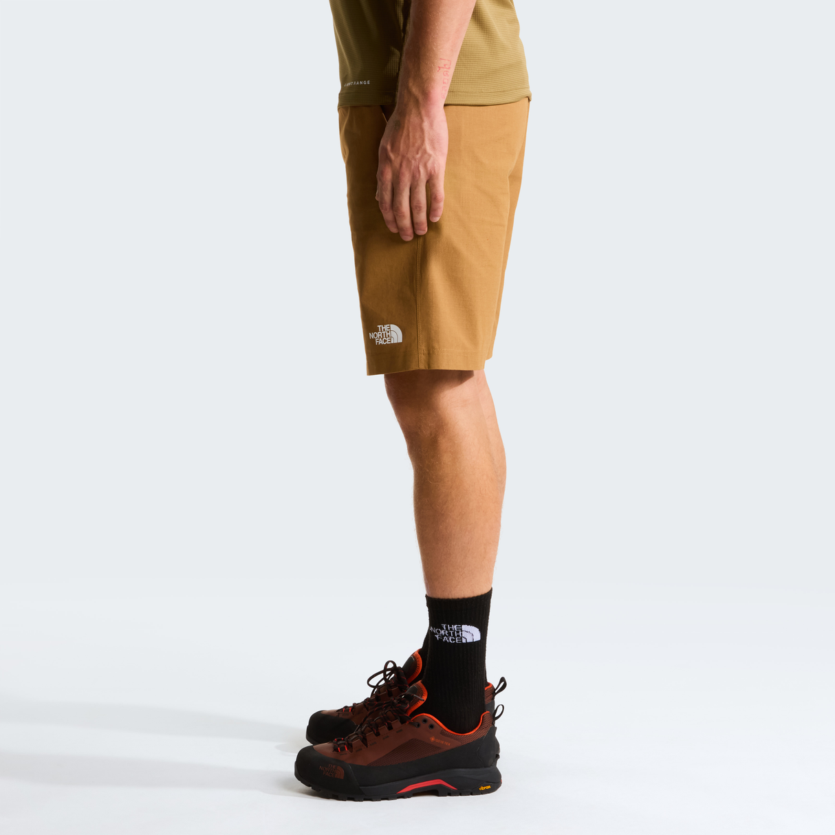 tnf_asset:NF0A8BTC173-ALT2