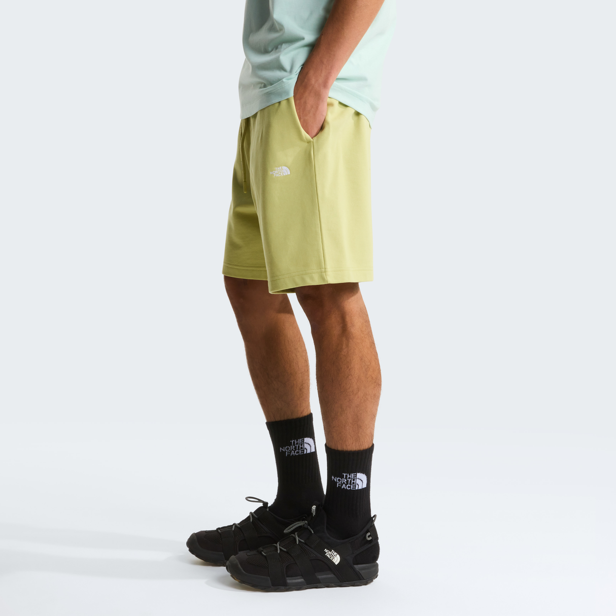tnf_asset:NF0A8GQ9G73-ALT2