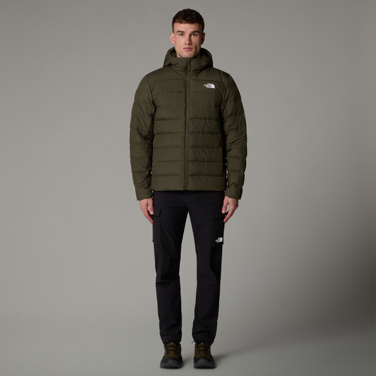 tnf_asset:NF0A84I121L-ALT3