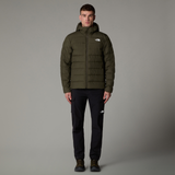 tnf_asset:NF0A84I121L-ALT3