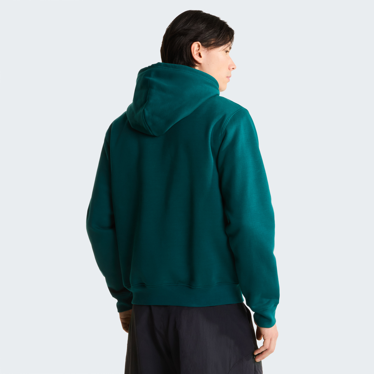 tnf_asset:NF0A8FDAN4J-ALT3