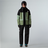 tnf_asset:NF0A8CA0JK3-ALT1