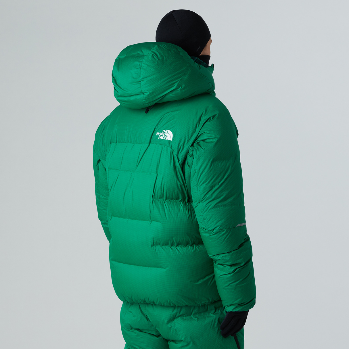 tnf_asset:NF0A89ACBOF-ALT2