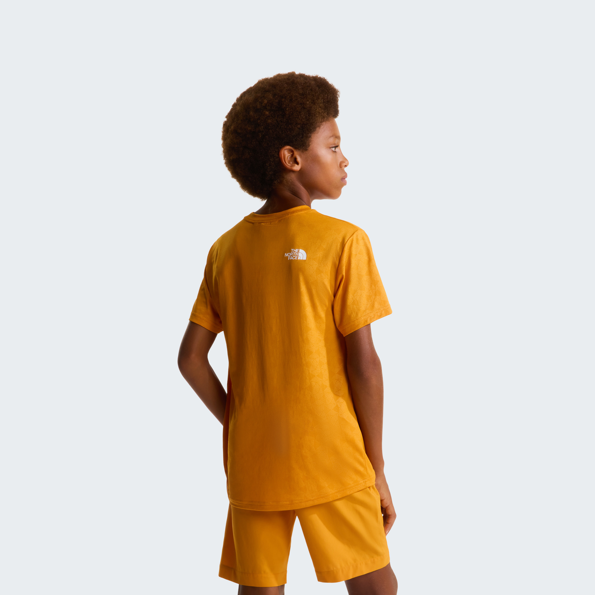 tnf_asset:NF0A8FYZG5I-ALT3