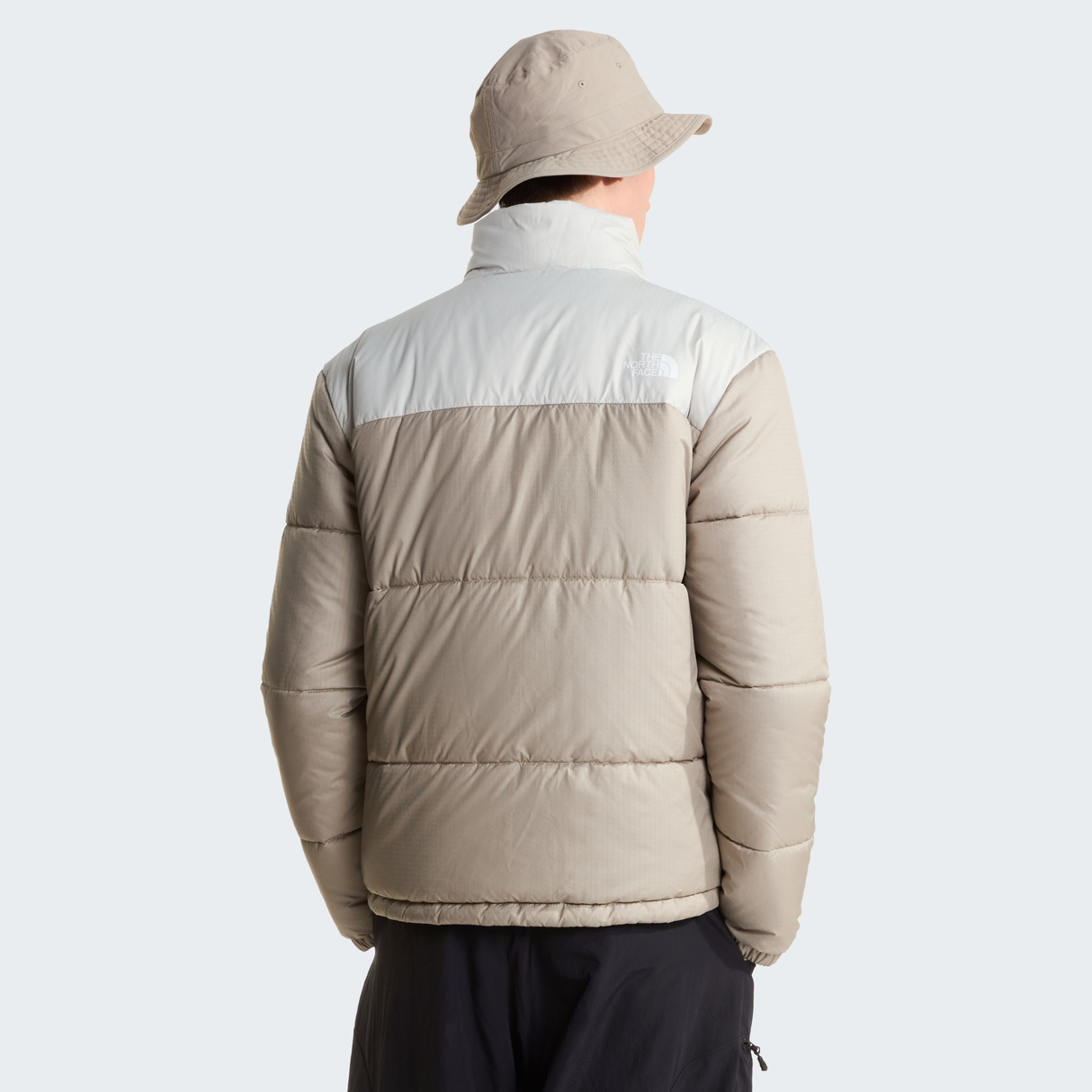 tnf_asset:NF0A8J3WSM4-ALT3