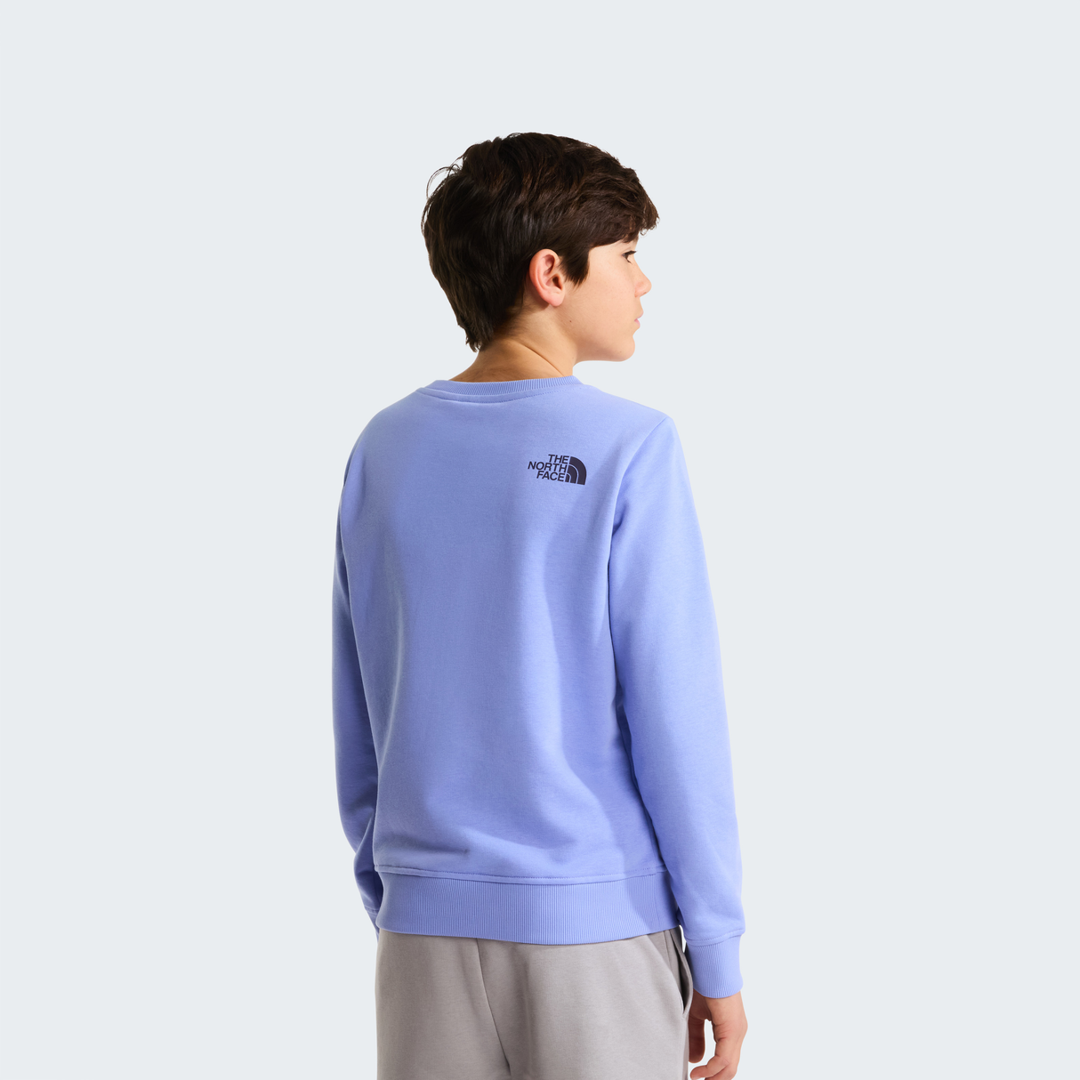 tnf_asset:NF0A8AXXG74-ALT3
