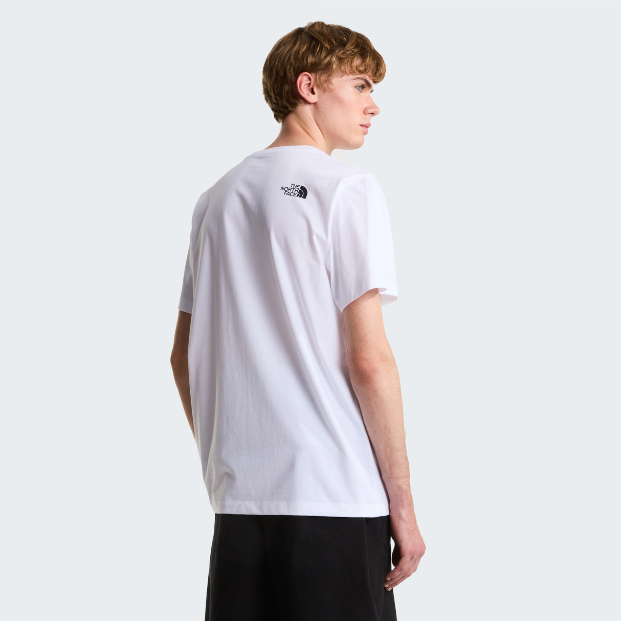 tnf_asset:NF0A8GUVFN4-ALT3
