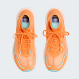 tnf_asset:NF0A8G52TTS-ALT1