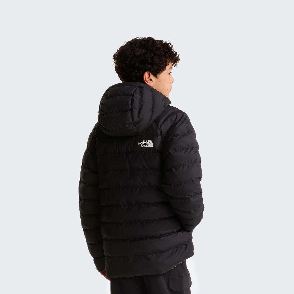 tnf_asset:NF0A88TWWOO-ALT2