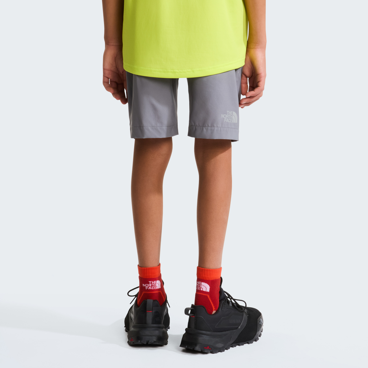 tnf_asset:NF0A8BNH0UZ-ALT3