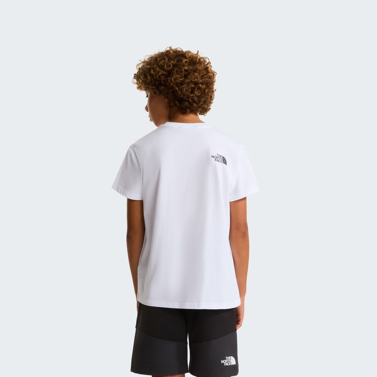 tnf_asset:NF0A8G1UFN4-ALT3