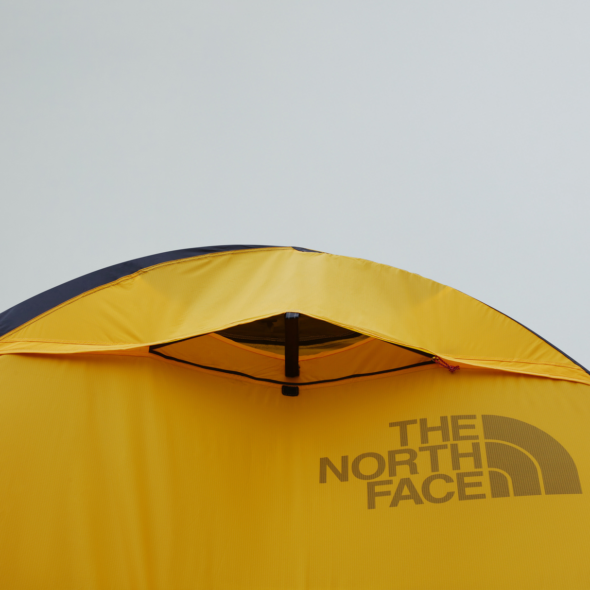 tnf_asset:NF0A8BDGC8T-ALT3