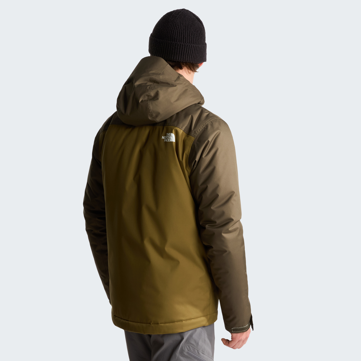 tnf_asset:NF0A3YFIUG8-ALT3
