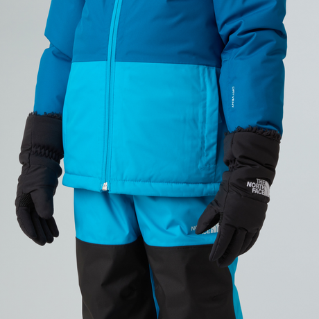 tnf_asset:NF0A888NJK3-ALT1