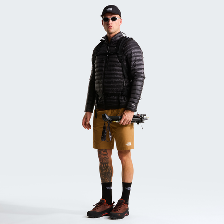 tnf_asset:NF0A8BTC173-ALT1