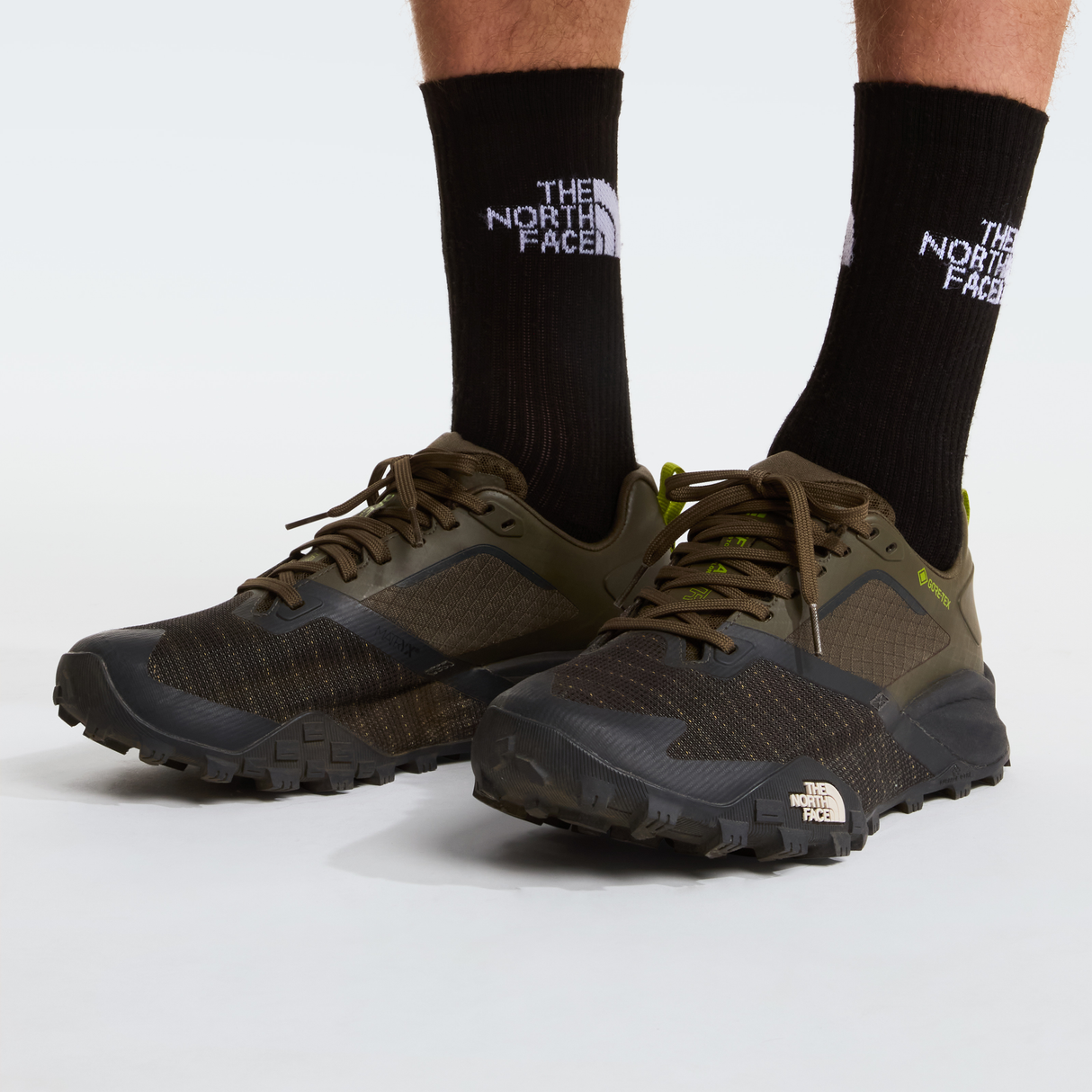 tnf_asset:NF0A8A9X79K-ALT2