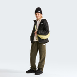 tnf_asset:NF0A873RKX7-ALT1