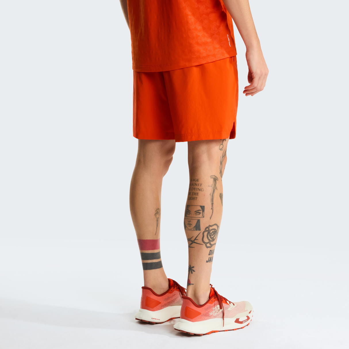 tnf_asset:NF0A3O1BG6L-ALT3