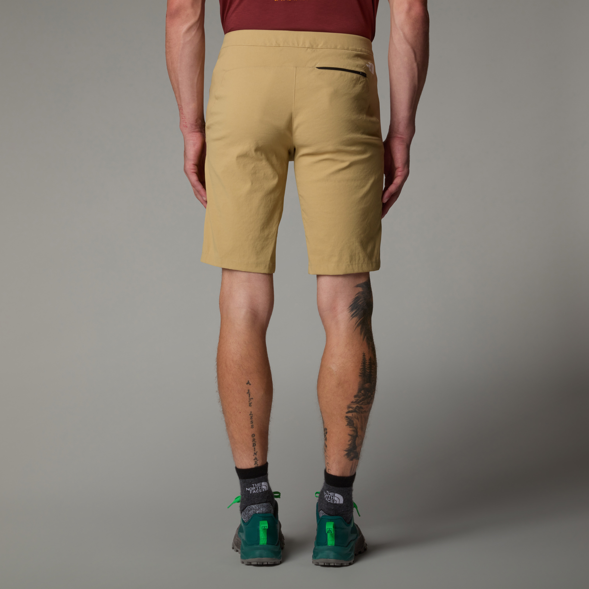 tnf_asset:NF0A495O4FS-ALT3