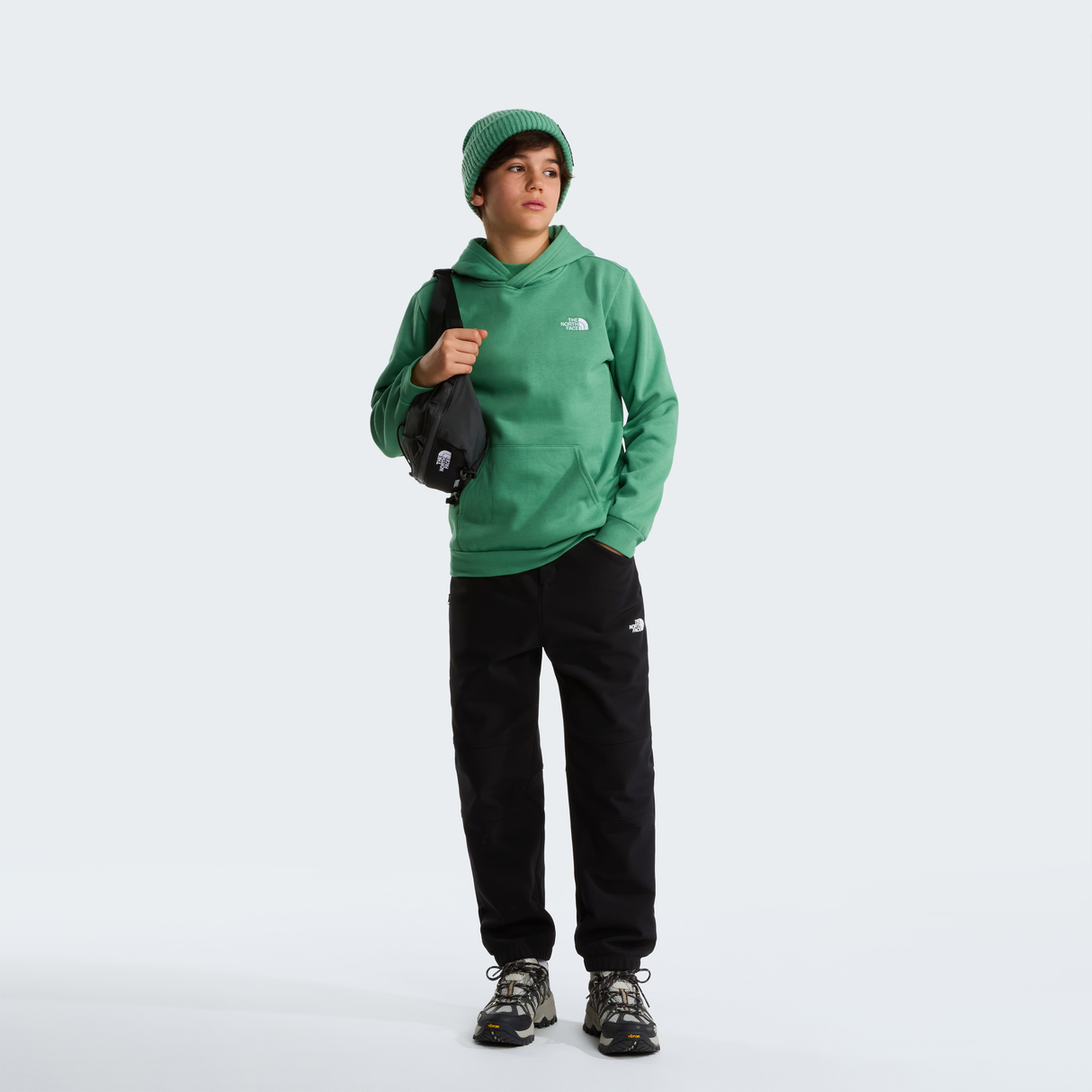 tnf_asset:NF0A8CV6G57-ALT1